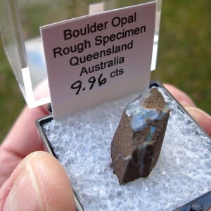 TN49 Boulder Opal Rough in Thumbnail Display Case