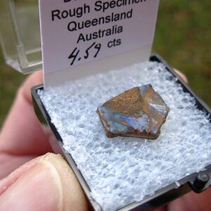 TN50 Boulder Opal Rough in Thumbnail Display Case