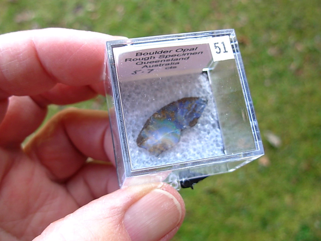 TN51 Boulder Opal Rough in Thumbnail Display Case - Image 5