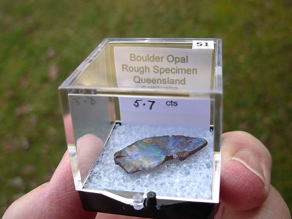 TN51 Boulder Opal Rough in Thumbnail Display Case - Image 4