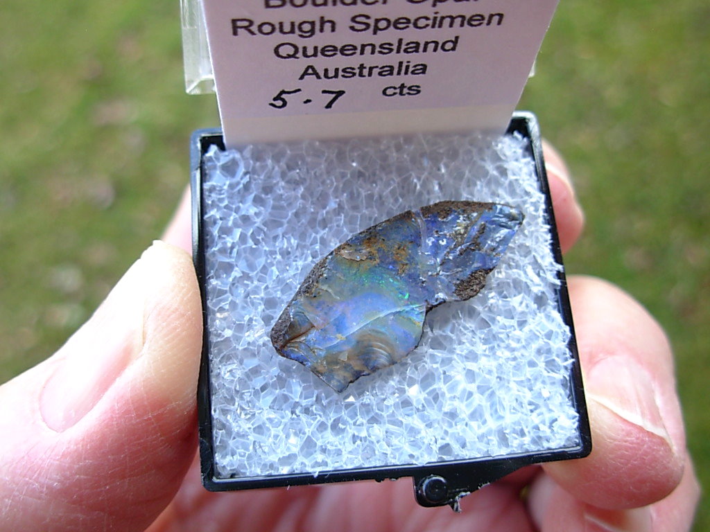 TN51 Boulder Opal Rough in Thumbnail Display Case