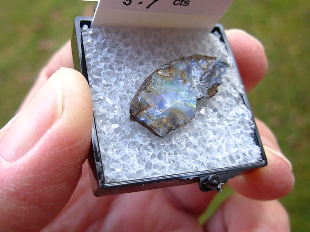 TN51 Boulder Opal Rough in Thumbnail Display Case - Image 3