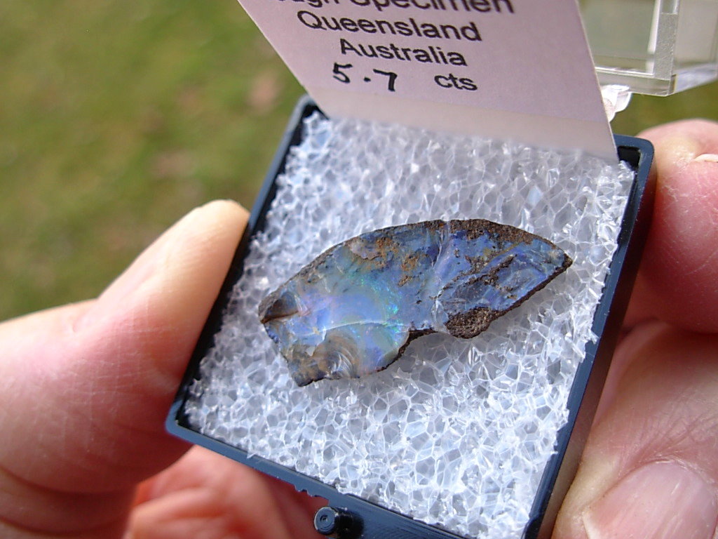TN51 Boulder Opal Rough in Thumbnail Display Case - Image 2