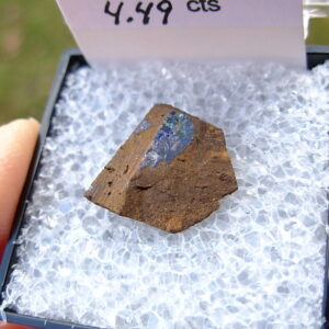TN52 Boulder Opal Rough in Thumbnail Display Case