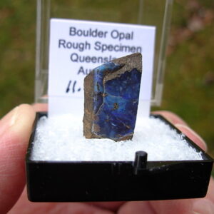 TN53 Boulder Opal Rough in Thumbnail Display Case