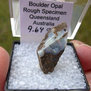 TN54 Boulder Opal Rough in Thumbnail Display Case