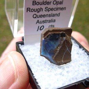TN55 Boulder Opal Rough in Thumbnail Display Case