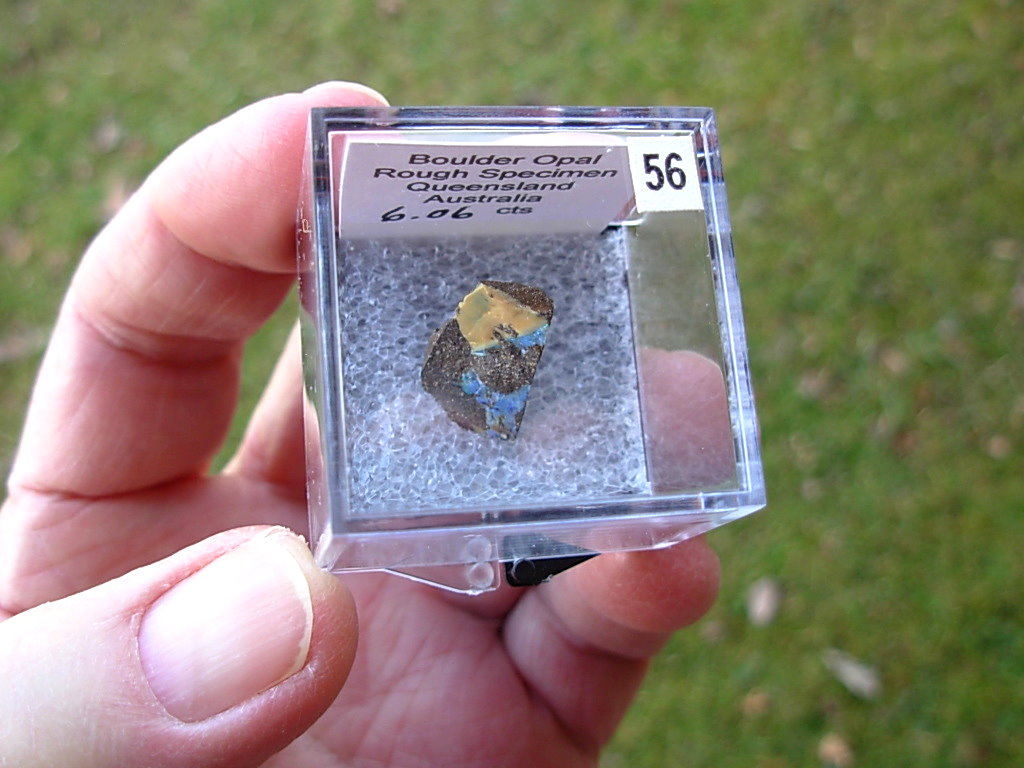 TN56 Boulder Opal Rough in Thumbnail Display Case - Image 4