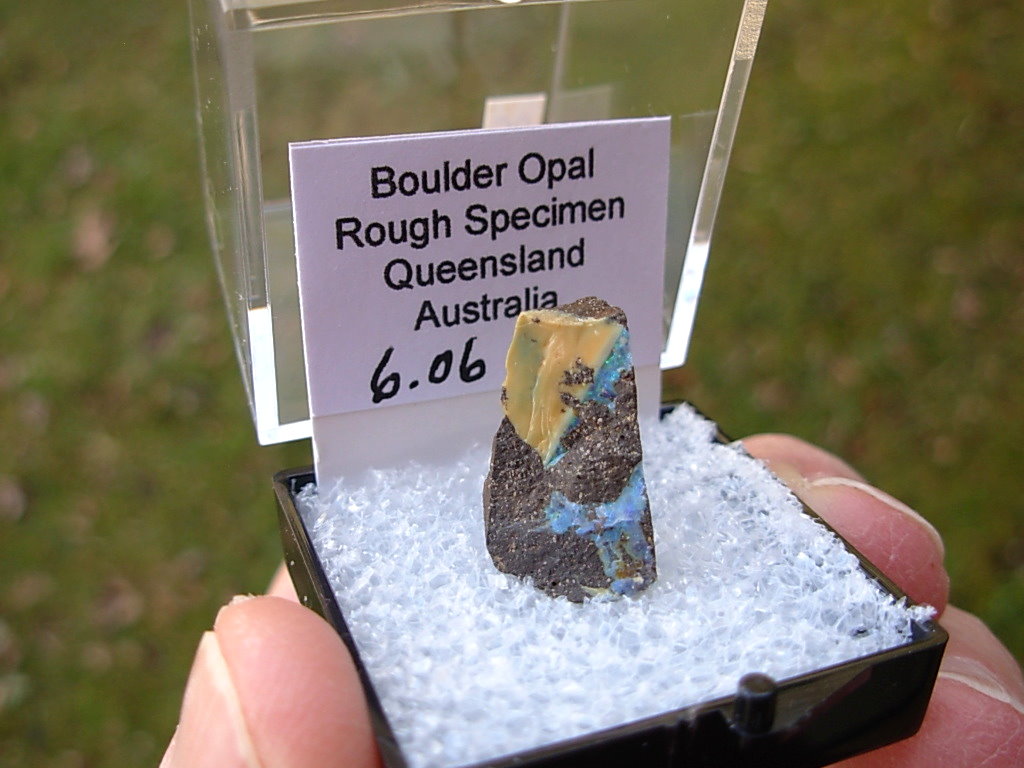 TN56 Boulder Opal Rough in Thumbnail Display Case
