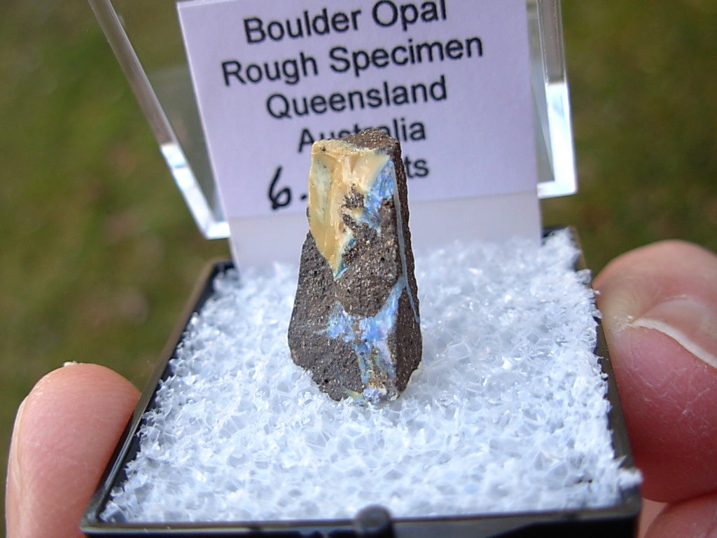 TN56 Boulder Opal Rough in Thumbnail Display Case - Image 2