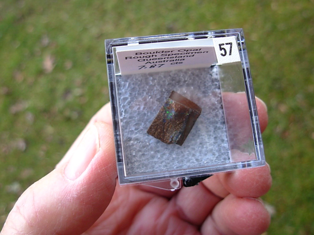 TN57 Boulder Opal Rough in Thumbnail Display Case - Image 4