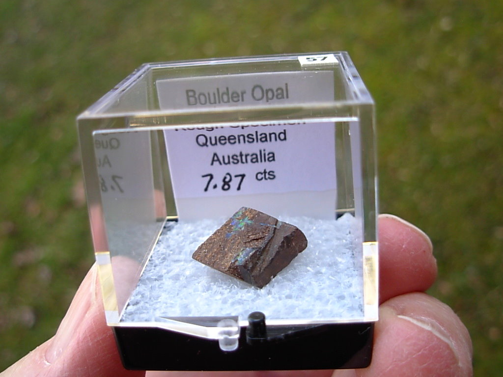 TN57 Boulder Opal Rough in Thumbnail Display Case - Image 3