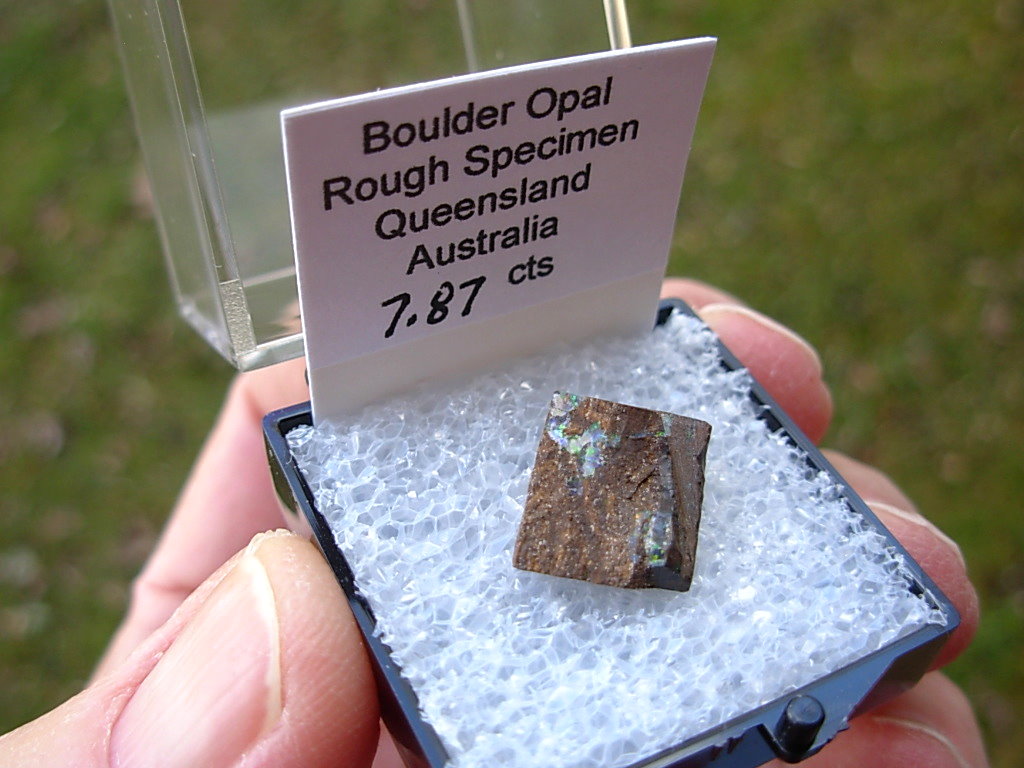 TN57 Boulder Opal Rough in Thumbnail Display Case - Image 2