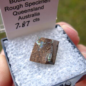 TN57 Boulder Opal Rough in Thumbnail Display Case