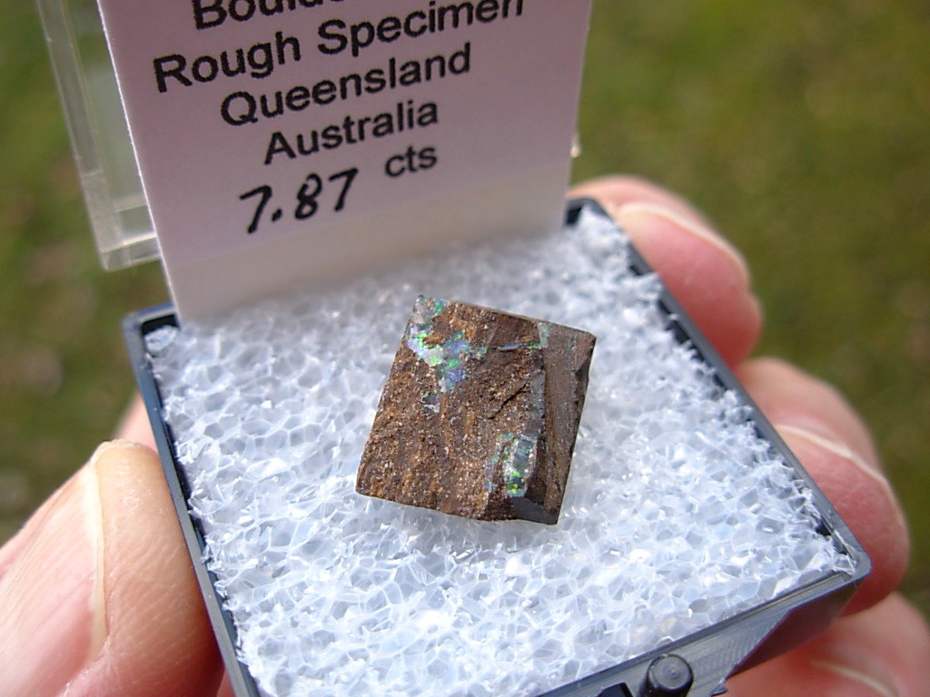 TN57 Boulder Opal Rough in Thumbnail Display Case