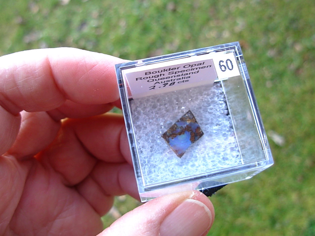 TN60 Boulder Opal Rough in Thumbnail Display Case - Image 4
