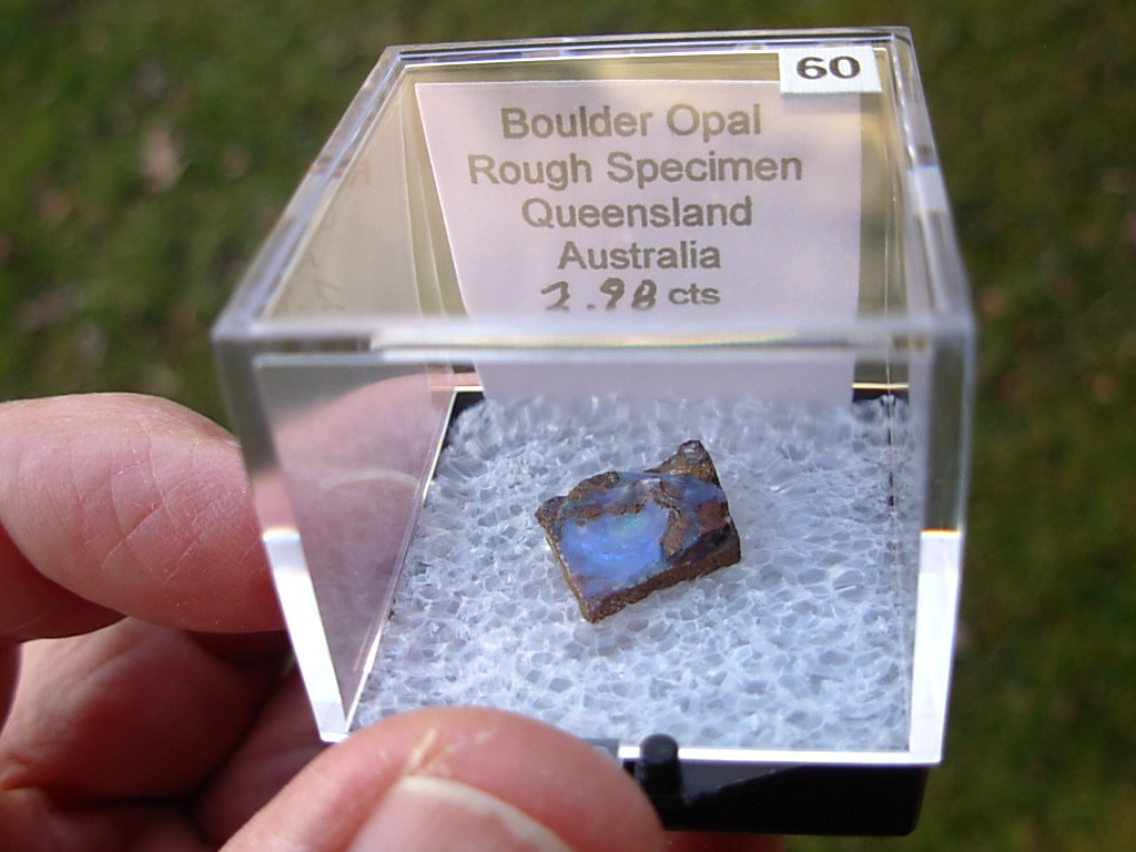 TN60 Boulder Opal Rough in Thumbnail Display Case - Image 3