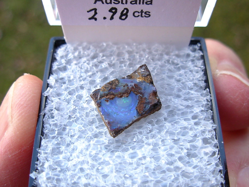 TN60 Boulder Opal Rough in Thumbnail Display Case