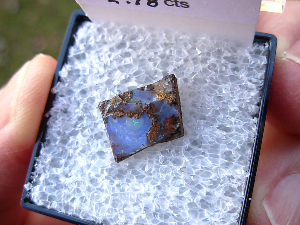TN60 Boulder Opal Rough in Thumbnail Display Case - Image 2