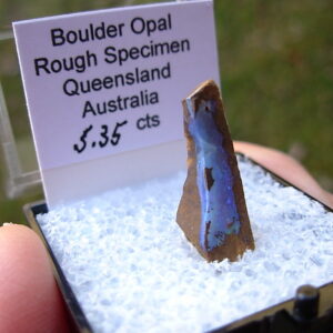TN61 Boulder Opal Rough in Thumbnail Display Case