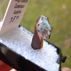 TN62 Boulder Opal Rough in Thumbnail Display Case