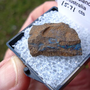 TN63 Boulder Opal Rough in Thumbnail Display Case