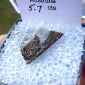 TN64 Boulder Opal Rough in Thumbnail Display Case