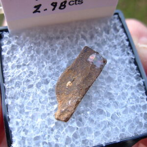 TN66 Boulder Opal Rough in Thumbnail Display Case
