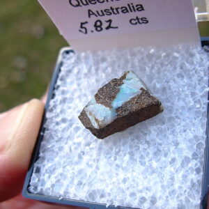 TN67 Boulder Opal Rough in Thumbnail Display Case