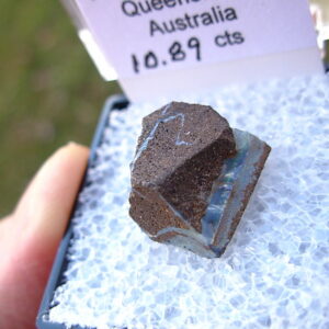 TN70 Boulder Opal Rough in Thumbnail Display Case