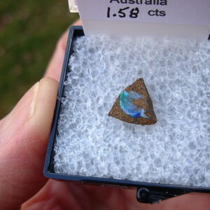 TN73 Boulder Opal Rough in Thumbnail Display Case