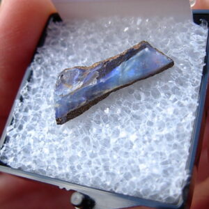 TN74 Boulder Opal Rough in Thumbnail Display Case