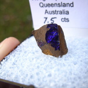 TN76 Boulder Opal Rough in Thumbnail Display Case