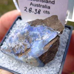 TN77 Boulder Opal Rough in Thumbnail Display Case