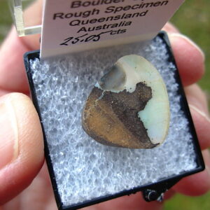 TN78 Boulder Opal Rough in Thumbnail Display Case