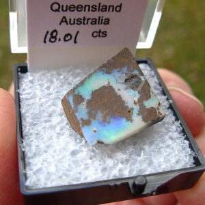 TN79 Boulder Opal Rough in Thumbnail Display Case