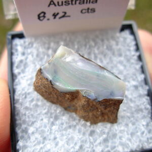 TN80 Boulder Opal Rough in Thumbnail Display Case