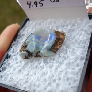TN81 Boulder Opal Rough in Thumbnail Display Case