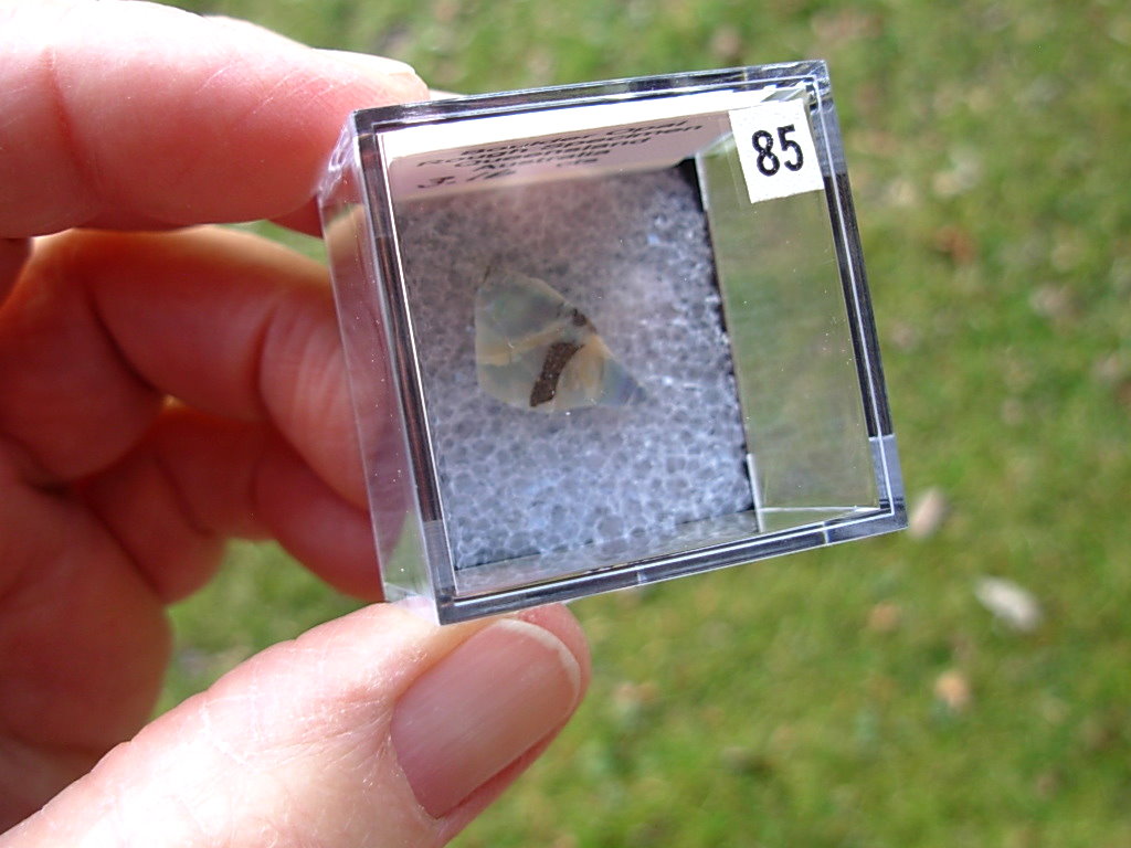 TN85 Boulder Opal Rough in Thumbnail Display Case - Image 5