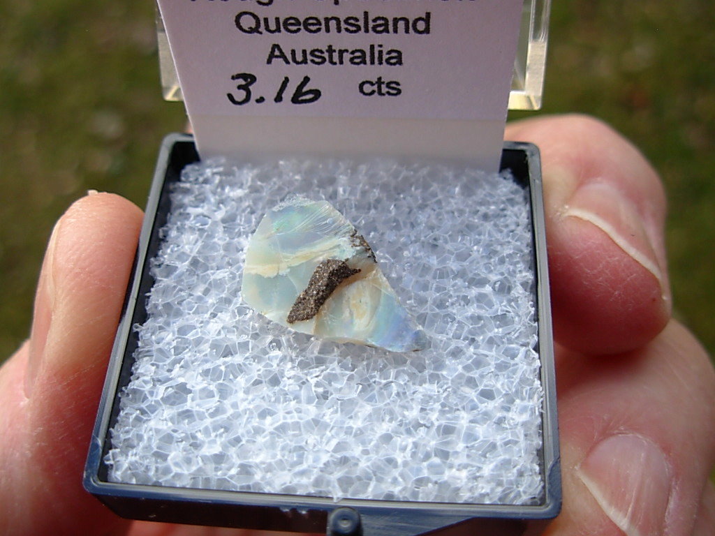 TN85 Boulder Opal Rough in Thumbnail Display Case - Image 2
