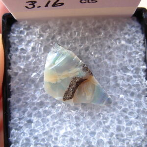 TN85 Boulder Opal Rough in Thumbnail Display Case