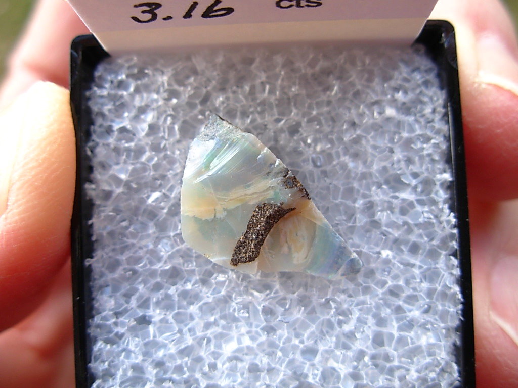 TN85 Boulder Opal Rough in Thumbnail Display Case