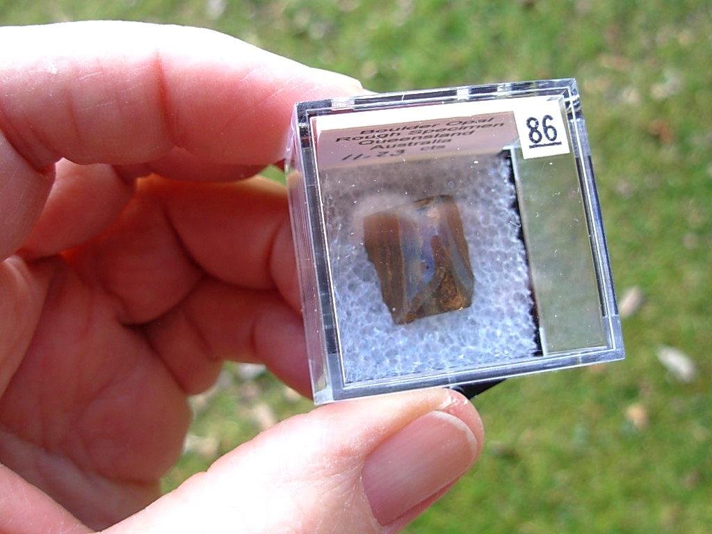 TN86 Boulder Opal Rough in Thumbnail Display Case - Image 6