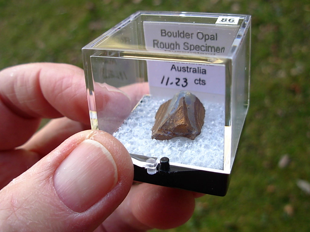 TN86 Boulder Opal Rough in Thumbnail Display Case - Image 5