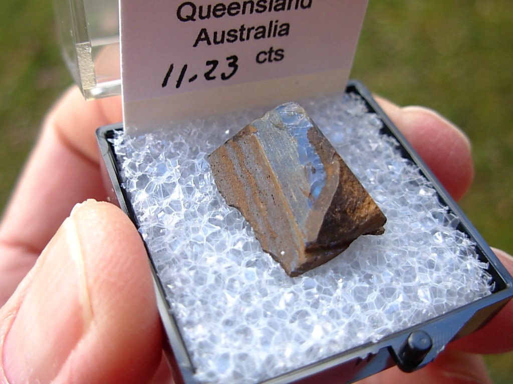 TN86 Boulder Opal Rough in Thumbnail Display Case - Image 4
