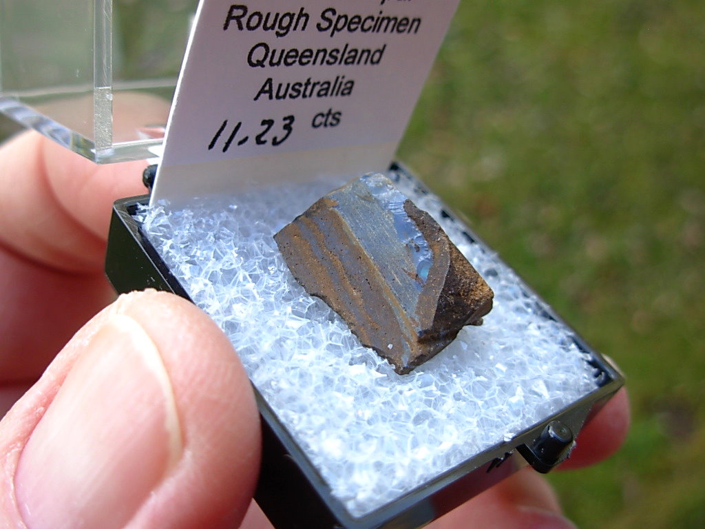 TN86 Boulder Opal Rough in Thumbnail Display Case - Image 2