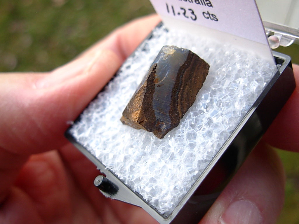 TN86 Boulder Opal Rough in Thumbnail Display Case - Image 3