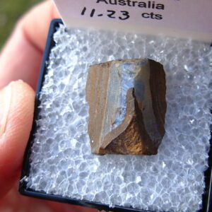 TN86 Boulder Opal Rough in Thumbnail Display Case