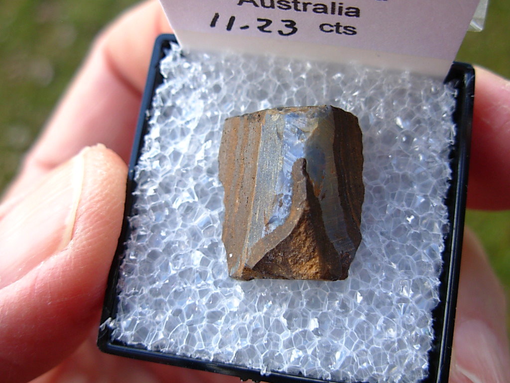 TN86 Boulder Opal Rough in Thumbnail Display Case