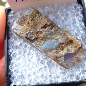 TN87 Boulder Opal Rough in Thumbnail Display Case